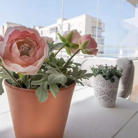 Apartamento Nereidas, Sun And Terrace In Apartment Cadiz